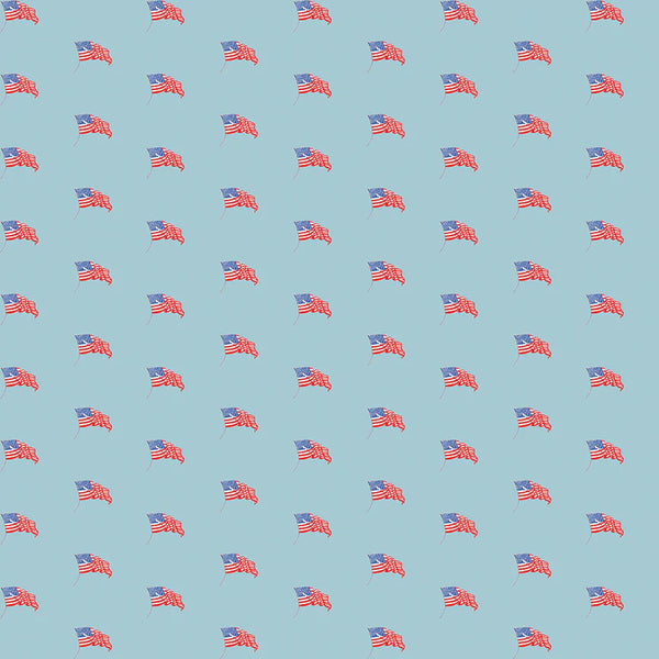 Riley Blake Sew America CD17353 Blue USA Flags By The Yard