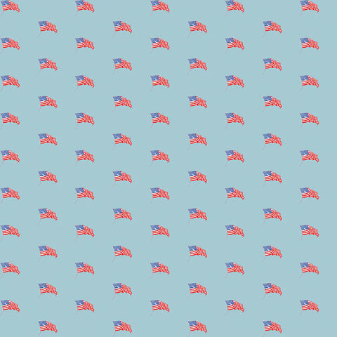 Riley Blake Sew America CD17353 Blue USA Flags By The Yard