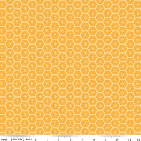 Riley Blake Sunshine & Dandelions C17926 Daisy Hexies By The Yard