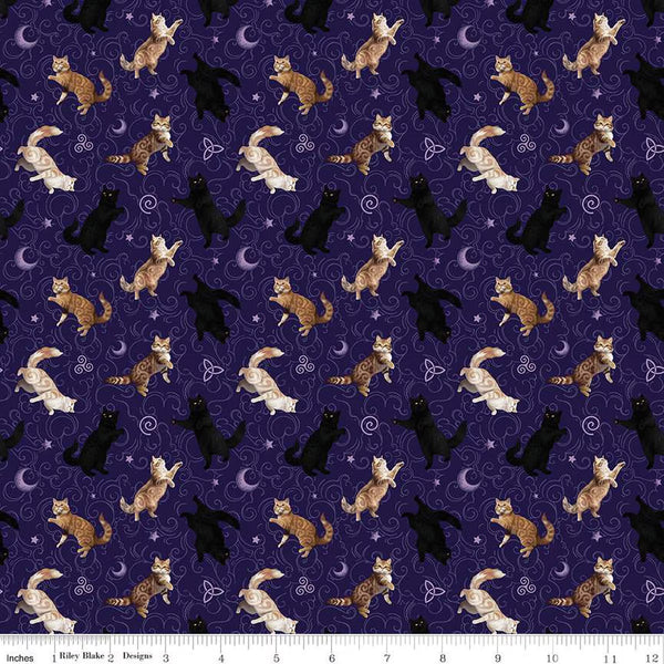 Riley Blake Celtic Cats CD16584 Purple Cats By The Yard