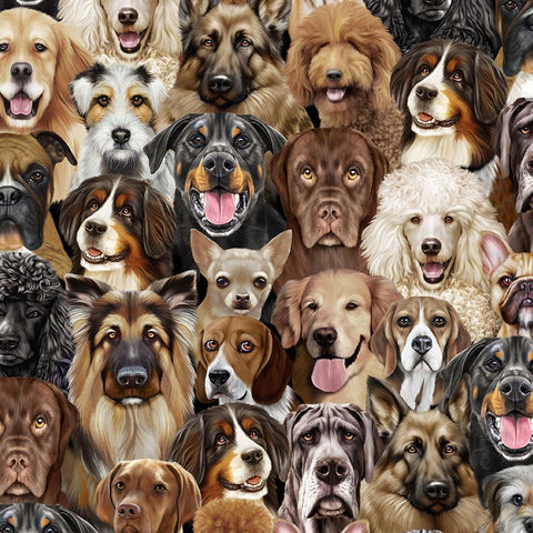 Timeless Treasures - Happiness Has Paws CD2947 Natural Packed Dogs Portrait By The Yard
