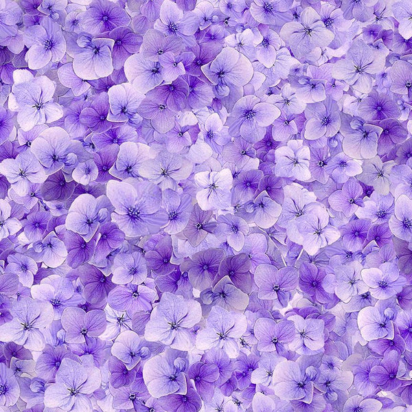 Timeless Treasures - Garden Delight CD3505 Lilac Viola Floral By The Yard