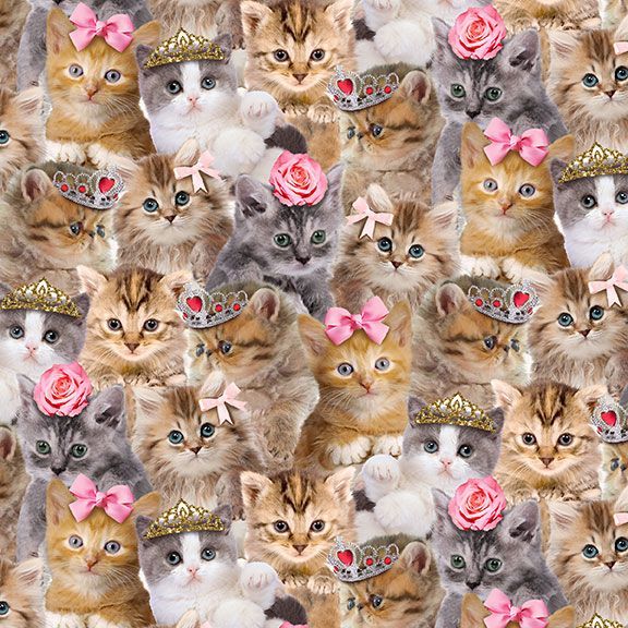 Timeless Treasures - Are You Kitten Me? CD3579 Natural Packed Princess Kitty By The Yard