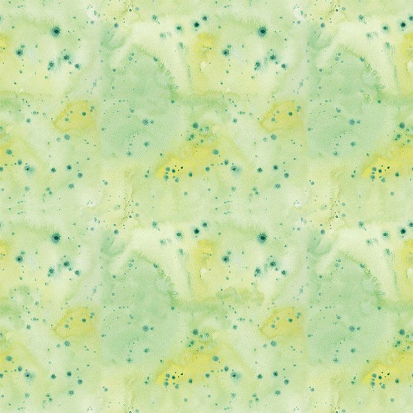 Timeless Treasures Fruity Popsicles CD4295 Green Watercolor Texture Dot By The Yard