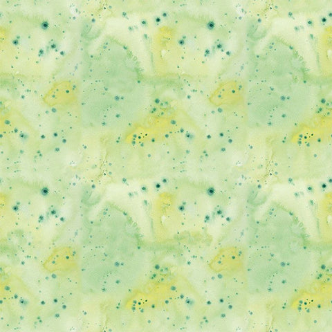 Timeless Treasures Fruity Popsicles CD4295 Green Watercolor Texture Dot By The Yard