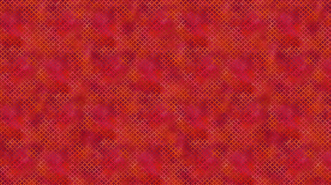 Northcott Digital - Boho Blooms DP27783 24 Red Mini Grid By The Yard FUTURE SHIP DATE JAN. 8, 2025