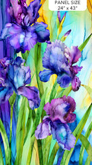 Northcott Infatuation DP28610 84 Purple Iris 24