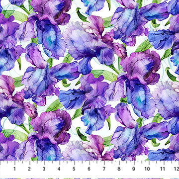 Northcott Infatuation DP28614 10 White Packed Iris By The Yard
