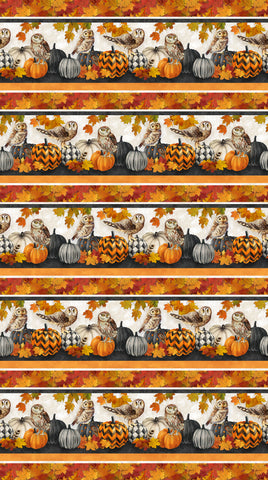 Northcott Night Owl DP28845 96 Charcoal Multi Border Stripe By The Yard