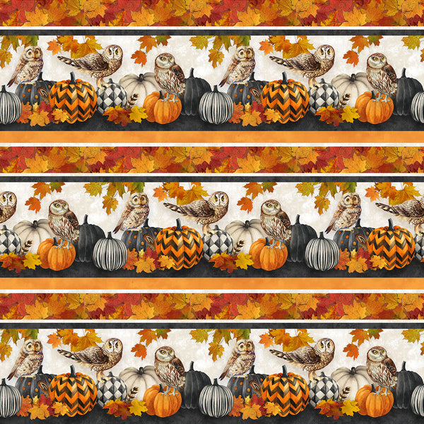 Northcott Night Owl DP28845 96 Charcoal Multi Border Stripe By The Yard