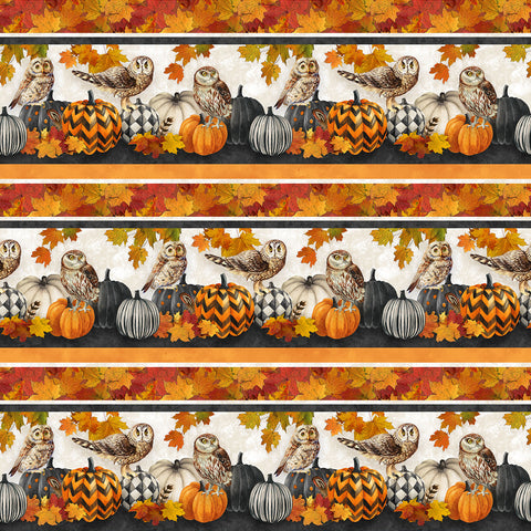 Northcott Night Owl DP28845 96 Charcoal Multi Border Stripe By The Yard