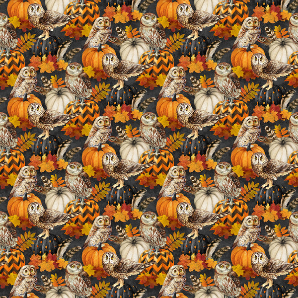 Northcott Night Owl DP28846 96 Charcoal Multi Owl & Feathers By The Yard