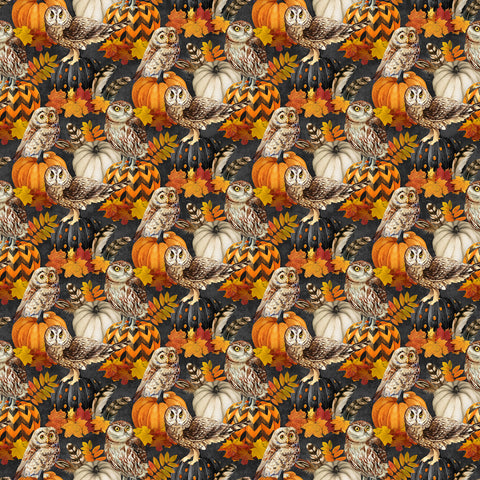 Northcott Night Owl DP28846 96 Charcoal Multi Owl & Feathers By The Yard