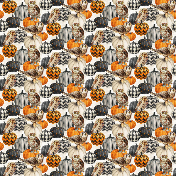 Northcott Night Owl DP28847 11 Cream Multi Owl & Pumpkin By The Yard