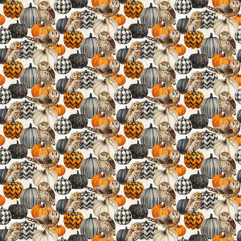 Northcott Night Owl DP28847 11 Cream Multi Owl & Pumpkin By The Yard