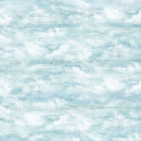 Northcott Smooth Sailing DP28910 42 Light Blue Clouds By The Yard