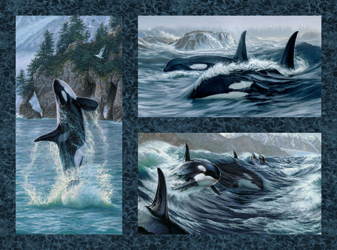 Northcott Naturescapes Voyage DP29115 48 Blue Multi Orca 32" PANEL By The PANEL (Not Strictly By The Yard)