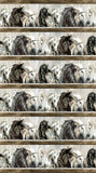 Northcott Shadow & Light DP29219 34 Brown Multi Border Stripe By The Yard