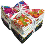 Andover Pre-Cut 16 Piece Fat Quarter Bundle - FQ CW X- Color Wheel