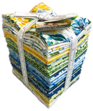 Moda Pre-Cut 34 Piece Fat Quarter Bundle - Sunshine & Blue Skies