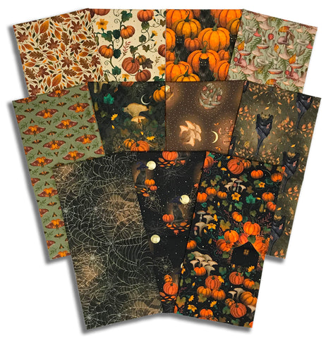 Matt's Blank Quilting Pre-Cut 11 Piece Half Yard Bundle - Harvest Haunt