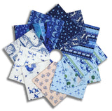 Matt's Free Spirit Pre-Cut 12 Piece Fat Quarter Bundle - Azul
