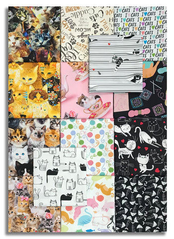 Matt's Timeless Treasures Pre-Cut 14 Piece Fat Quarter Bundle - Are You Kitten Me?