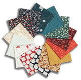 Matt's Clothworks Pre-Cut 14 Piece Fat Quarter Bundle - Raised