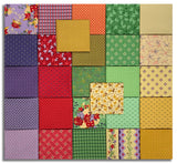 Matt's Riley Blake Pre-Cut 27 Piece Fat Quarter Bundle - Vera's Garden
