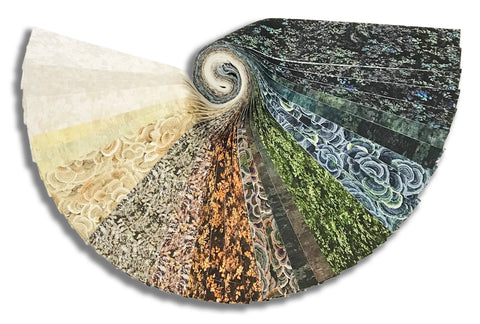 Matt's Clothworks Pre-Cut 40 Piece 2 1/2" Jelly Roll Strips - Nature Study