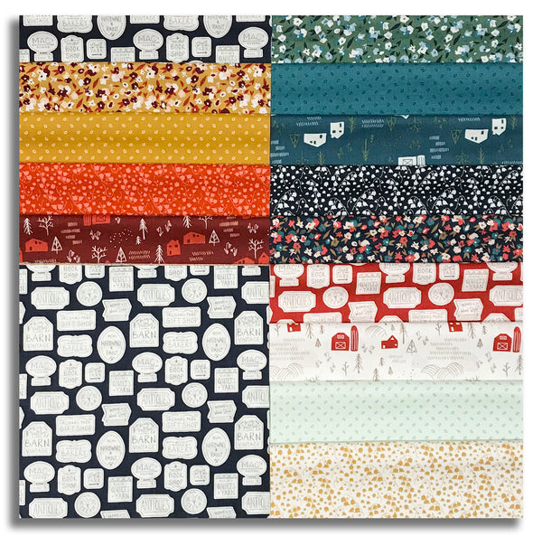 Matt's Clothworks Pre-Cut 40 Piece 10" Layer Cake Squares - Raised