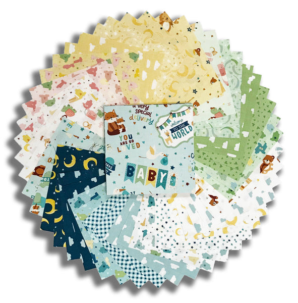 Matt's Riley Blake Pre-Cut 48 Piece 5" Charm Squares - Baby Boy