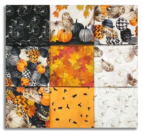 Matt's Northcott Pre-Cut 9 Piece Fat Quarter Bundle - Night Owl