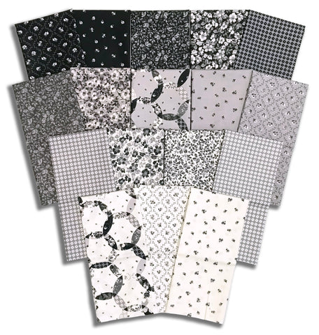 Matt's Riley Blake Pre-Cut 17 Piece Half Yard Bundle - Ink & Ivory