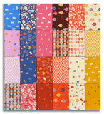 Moda Ruby Star Society Pre-Cut 24 Piece Fat Quarter Bundle - Persimmon
