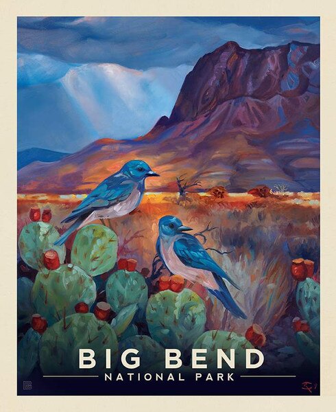 Riley Blake National Parks PD15097 Big Bend Poster 36" PANEL By The PANEL (Not Strictly By The Yard)