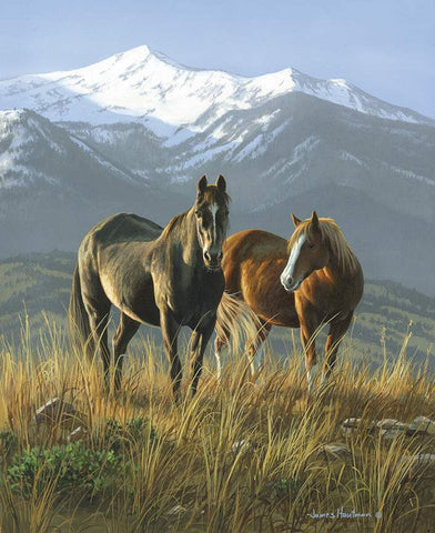 Riley Blake Wild Horses - PD15530-SMOKY - Smoky Valley 36" PANEL By The PANEL (Not Strictly By The Yard)