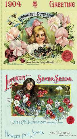 Riley Blake Sewing Seeds III PD15680 Pillow Shaw 24" PANEL By The PANEL (Not Strictly By The Yard)