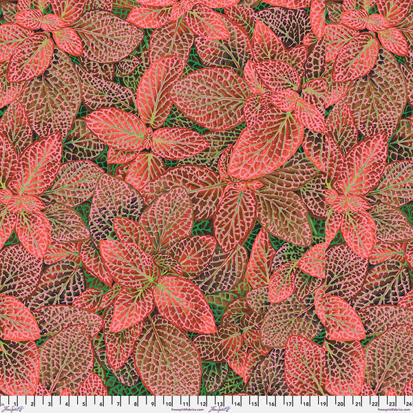 Free Spirit Kaffe Fassett PWPJ129 Red Fittonia By The Yard