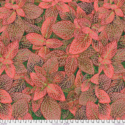 Free Spirit Kaffe Fassett PWPJ129 Red Fittonia By The Yard