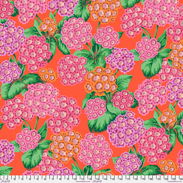 Free Spirit Kaffe Fassett Collective PWPJ131 Red Alpines By The Yard