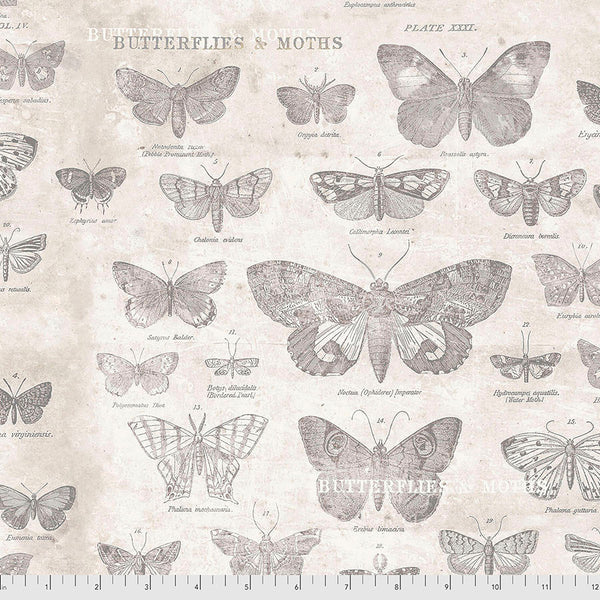 Free Spirit Monochrome PWTH004 Parchment Butterflies By The Yard