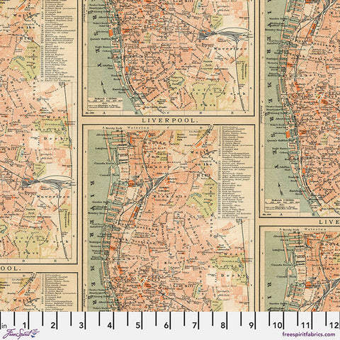 Free Spirit Palette PWTH233 Orange Maps By The Yard