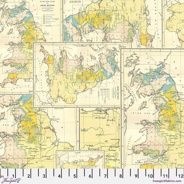 Free Spirit Palette PWTH243 Yellow Map By The Yard