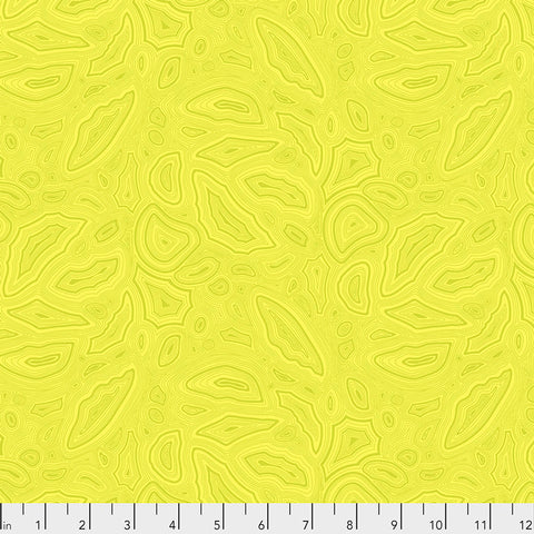 Free Spirit Tula's True Colors PWTP148 Citrine Mineral PRE-CUT HALF YARDS