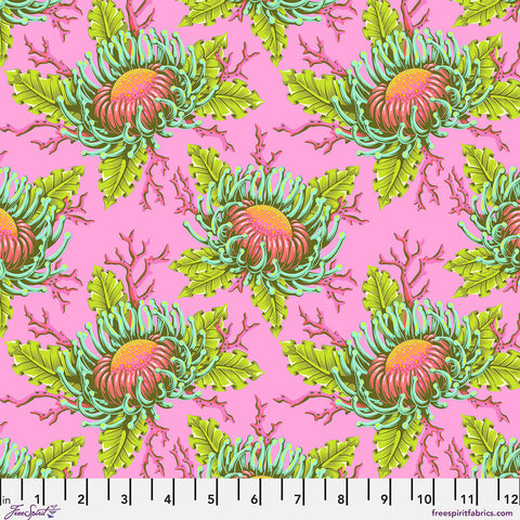 Free Spirit Floral Reef PWTP265 Coralline Friends & Anemones By The Yard