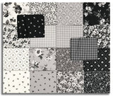 Riley Blake Pre-Cut 18 Piece Fat Quarters FQ 16910 18 - Ink & Ivory