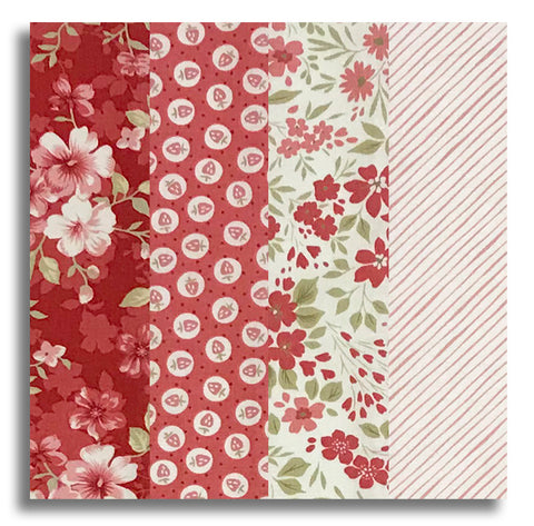Studio E Pre-Cut 24 Block Rail Fence Quilt Kit - Elizabeth - Pomegranate