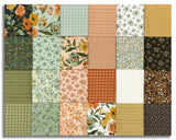 Riley Blake Pre-Cut 21 Piece Fat Quarter FQ 18260 24 - Worth Repeating