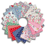 Riley Blake Pre-Cut 24 Piece Fat Quarter FQ 18370 24 - CK Signature Collection